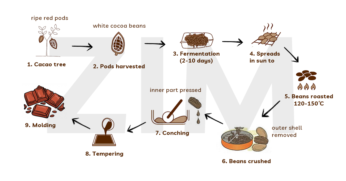 Bài mẫu dạng process