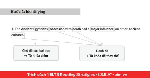 meo-lam-ielts-reading-dang-true-false-not-given