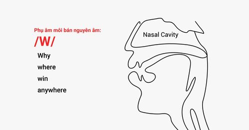 cac-phu-am-moi-bilabials-trong-bang-ipa-va-ung-dung-vao-bai-thi-speaking-