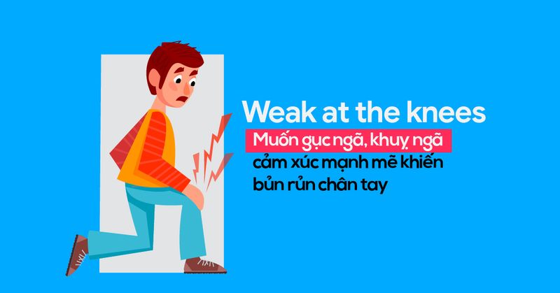 3 cách áp dụng Metaphor Collocations để tăng hiệu quả diễn đạt trong ...