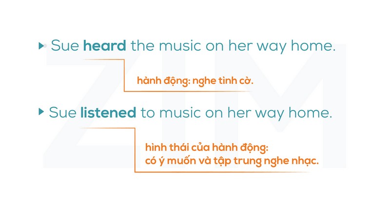 đong-tu-chi-hanh-dong-action-verbs