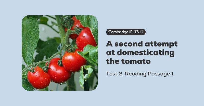 cam-17-test-2-reading-passage-2-a-second-attempt-at-domesticating-the-tomato