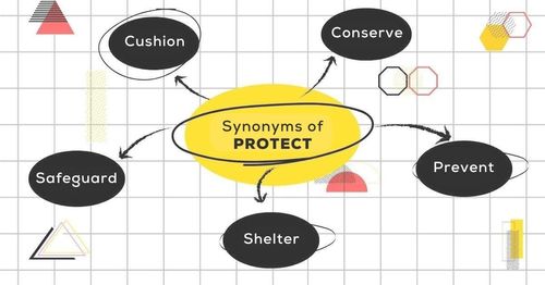 protect-synonyms-cac-cum-tu-thay-the-cho-protect