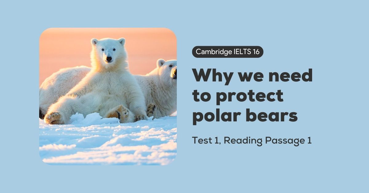 giai cambridge ielts 16 test 1 reading passage 1 why we need to protect polar bears