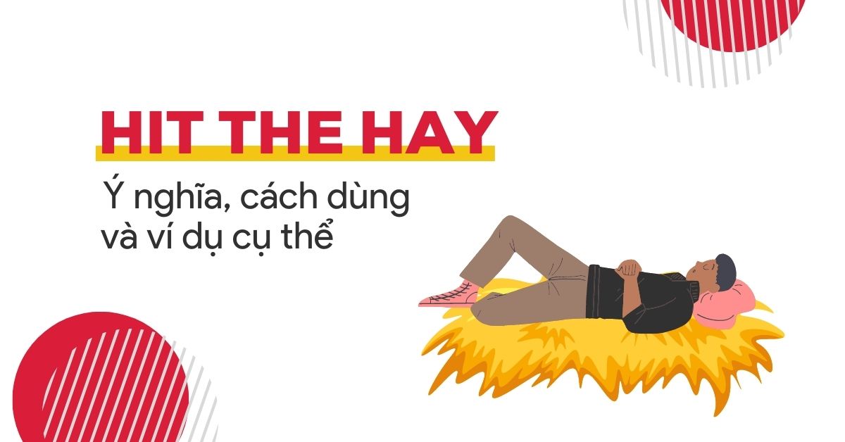 Hit the hay là gì? Nguồn gốc, cách dùng & ví dụ của Hit the hay