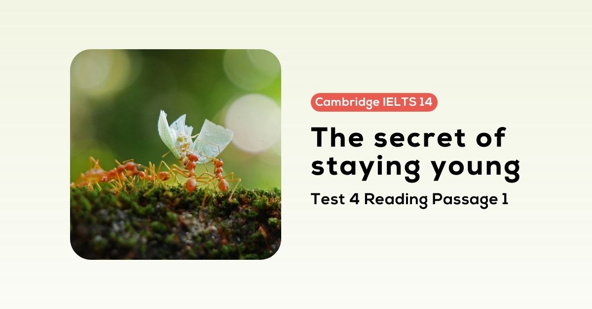 Giải Cam 14, Test 4, Reading Passage 1 The secret of staying young