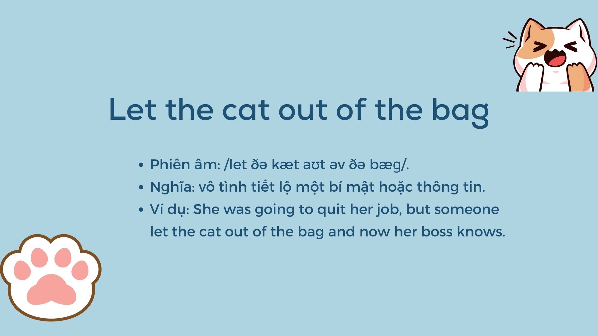idioms with cat