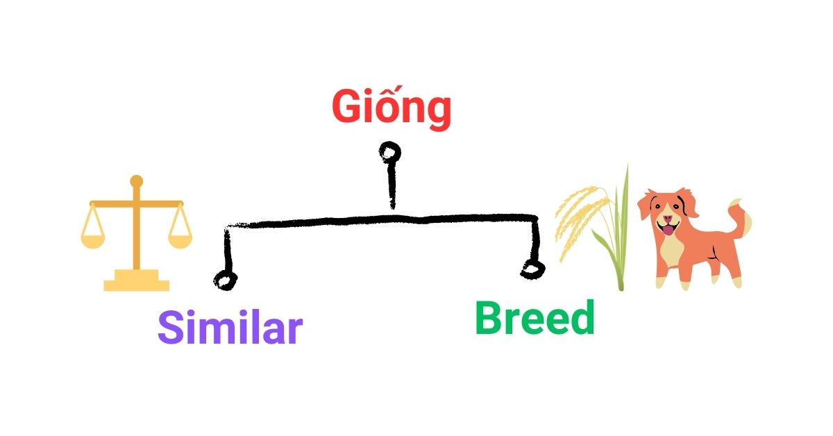 Giống Giống
