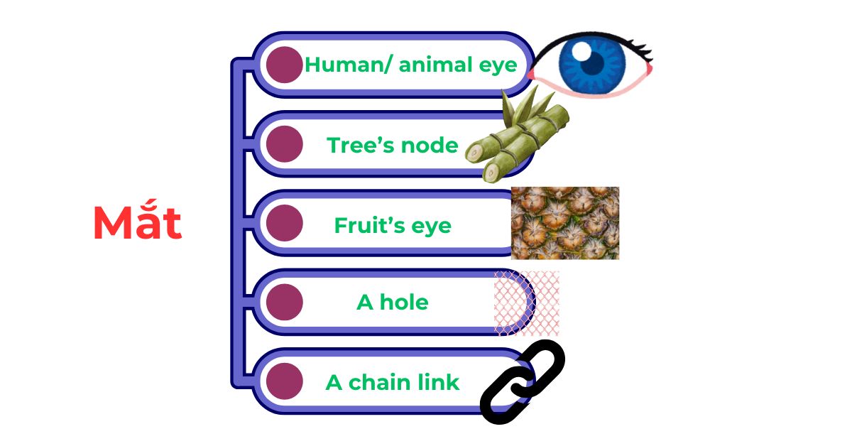 image-title image-alt