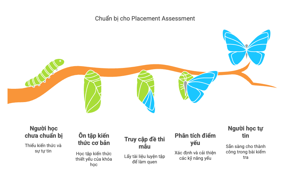 Chuẩn bị cho Placement Assessment