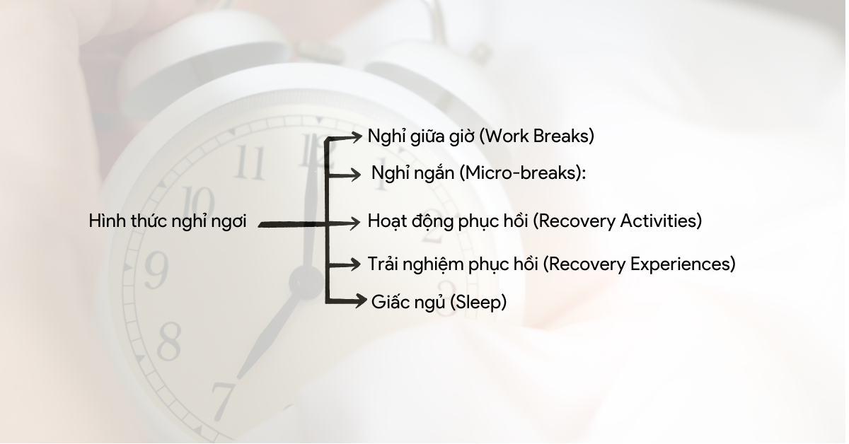 Lý thuyết về nguyên tắc