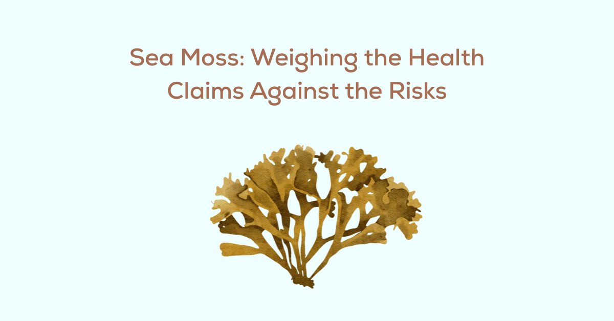 Sea Moss: Weighing the Health Claims Against the Risks