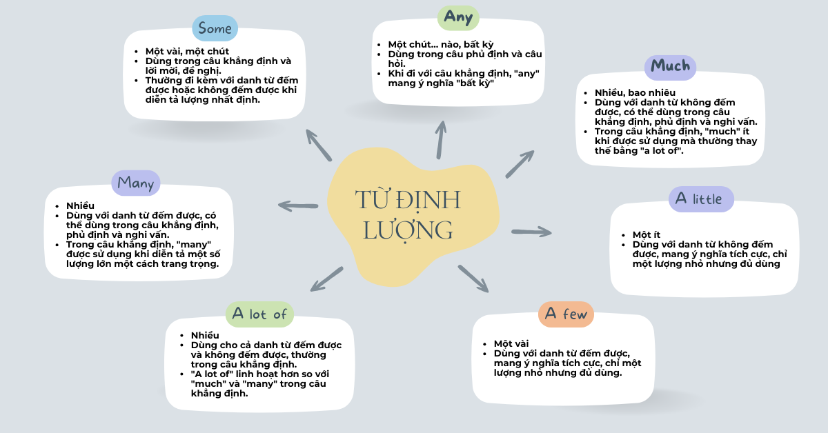 lý thuyết some any much many a lot of a few a little