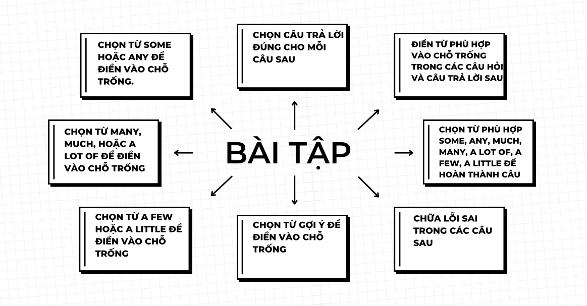 Các dạng bài tập some, any, much, many, a lot of, a few, a little