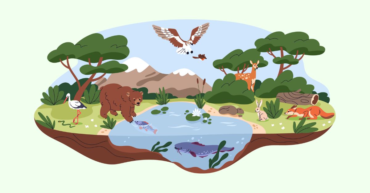 Hình minh họa chủ đề The Natural World Hình minh họa chủ đề The Natural World