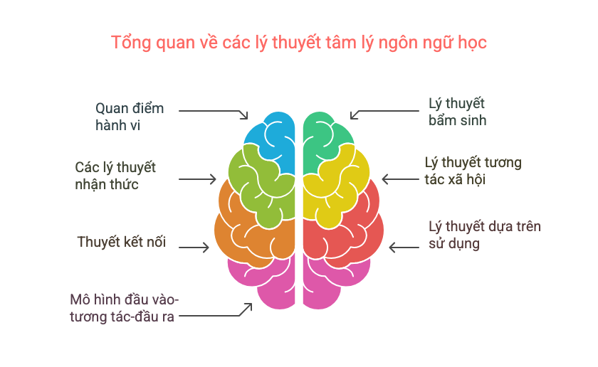 tâm lý ngôn ngữ học tâm lý ngôn ngữ học