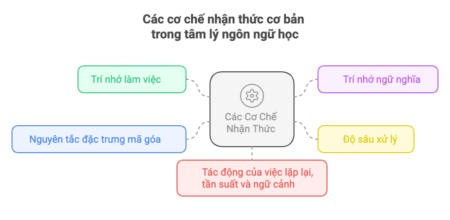 các cơ chế cơ bản của tâm lý ngôn ngữ học các cơ chế cơ bản của tâm lý ngôn ngữ học