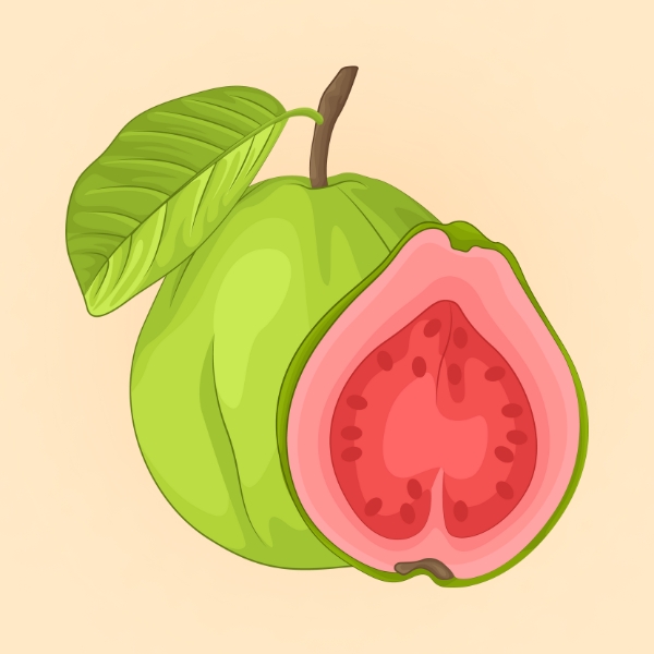 Guava