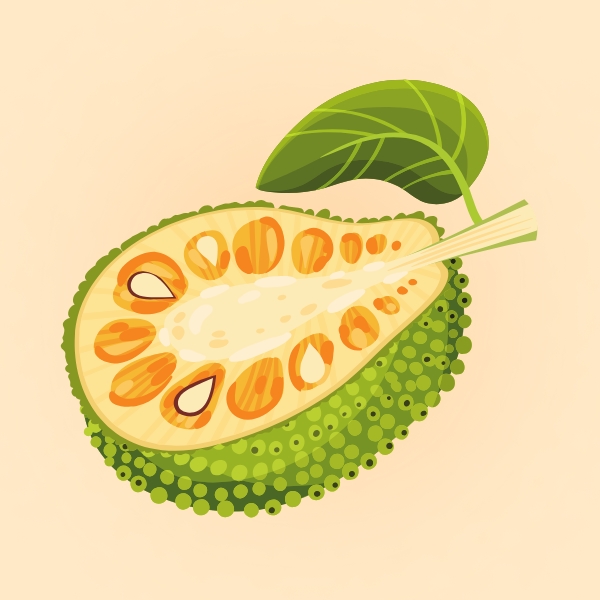 Jackfruit