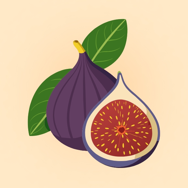 Fig