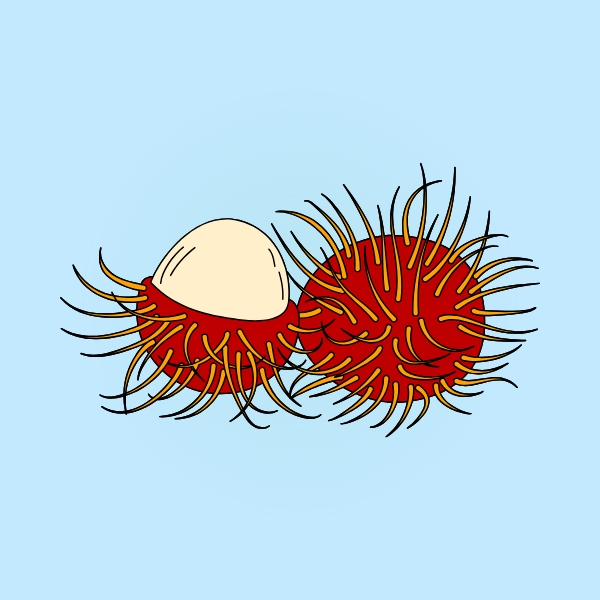 Rambutan