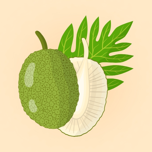 Breadfruit