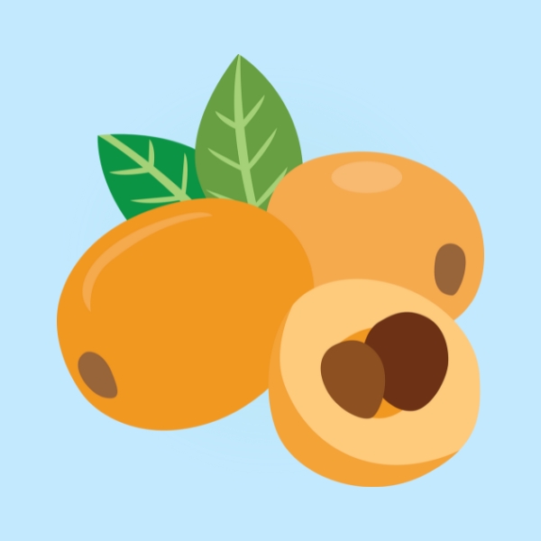 Loquat