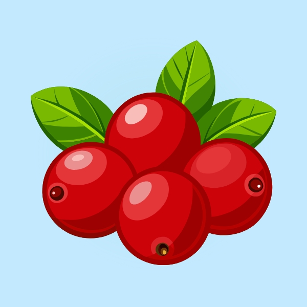 Cranberry