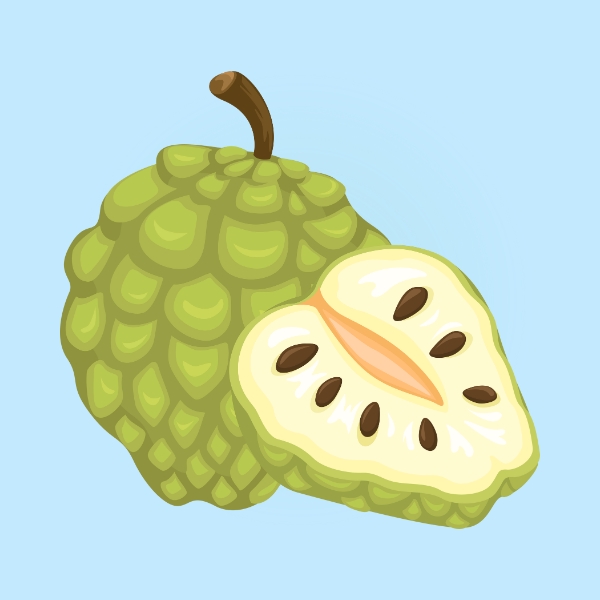Custard apple
