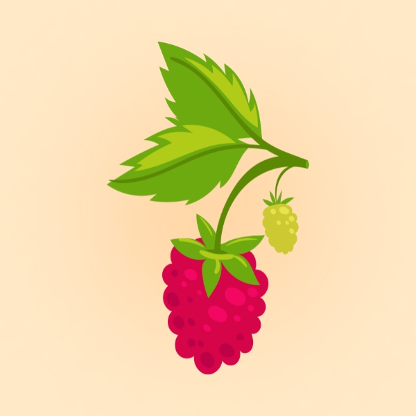Rasberry