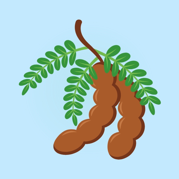 Tamarind
