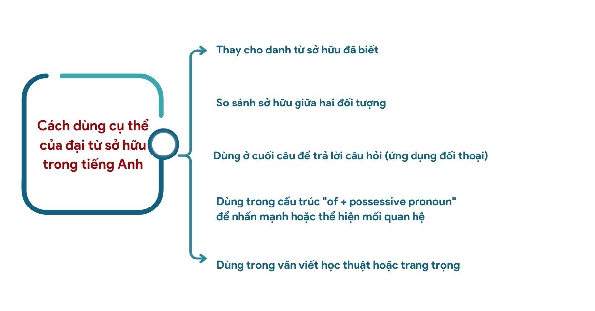 cach-dung-dai-tu-so-huu