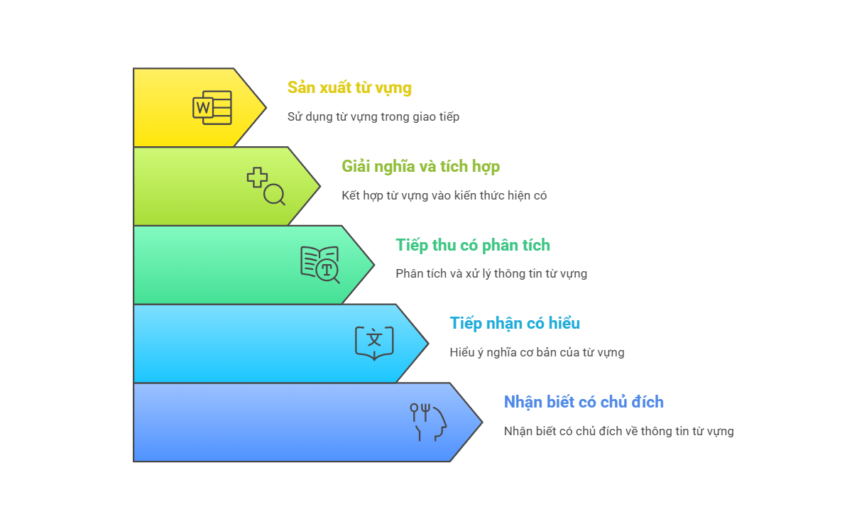 Năm cấp độ học từ vựng