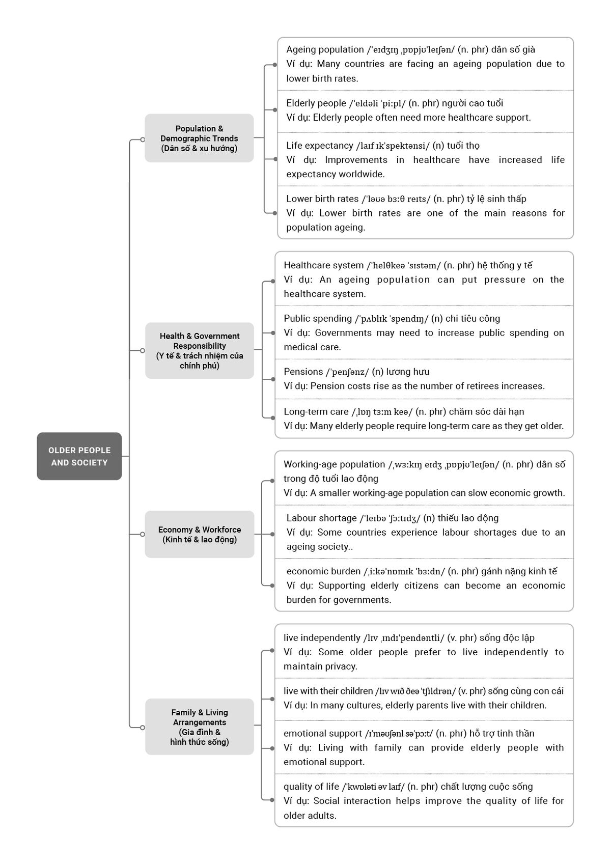  Từ vựng chủ đề Older People / Society