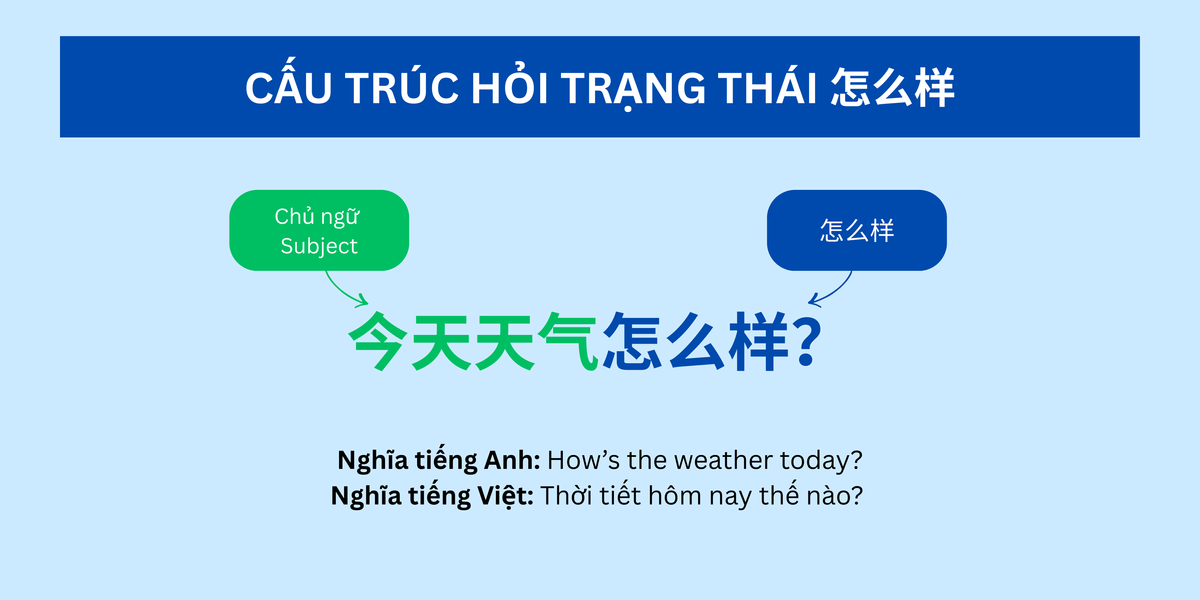 cau truc hoi trang thai 