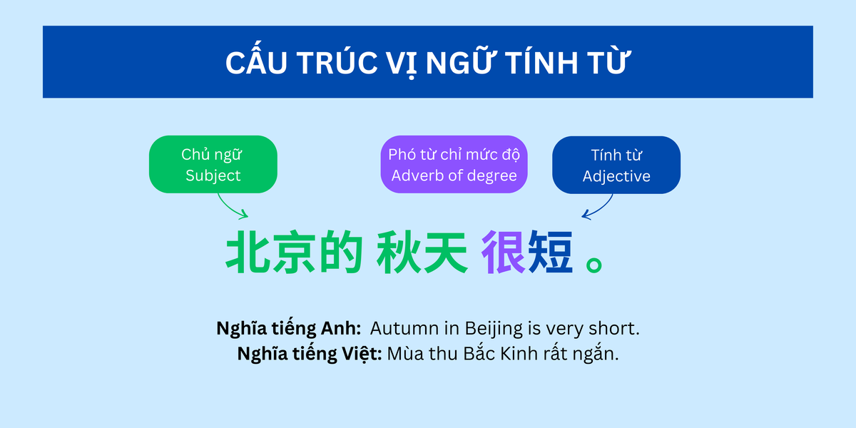 cau truc vi ngu tinh tu