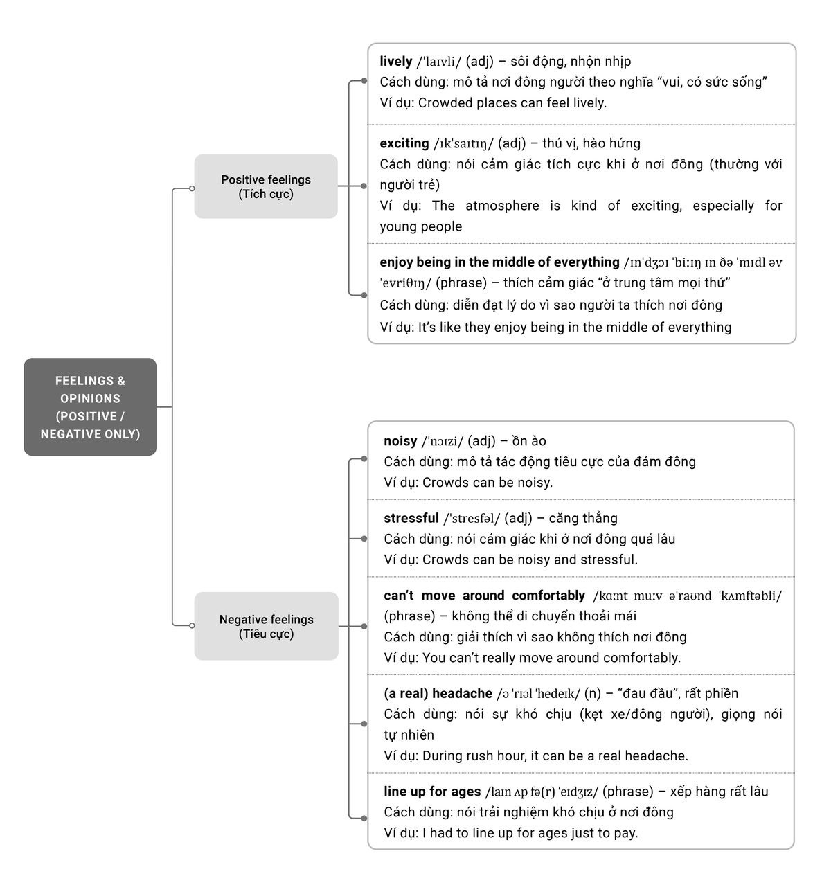 Từ vựng chủ đề Feelings & Opinions Từ vựng chủ đề Feelings & Opinions