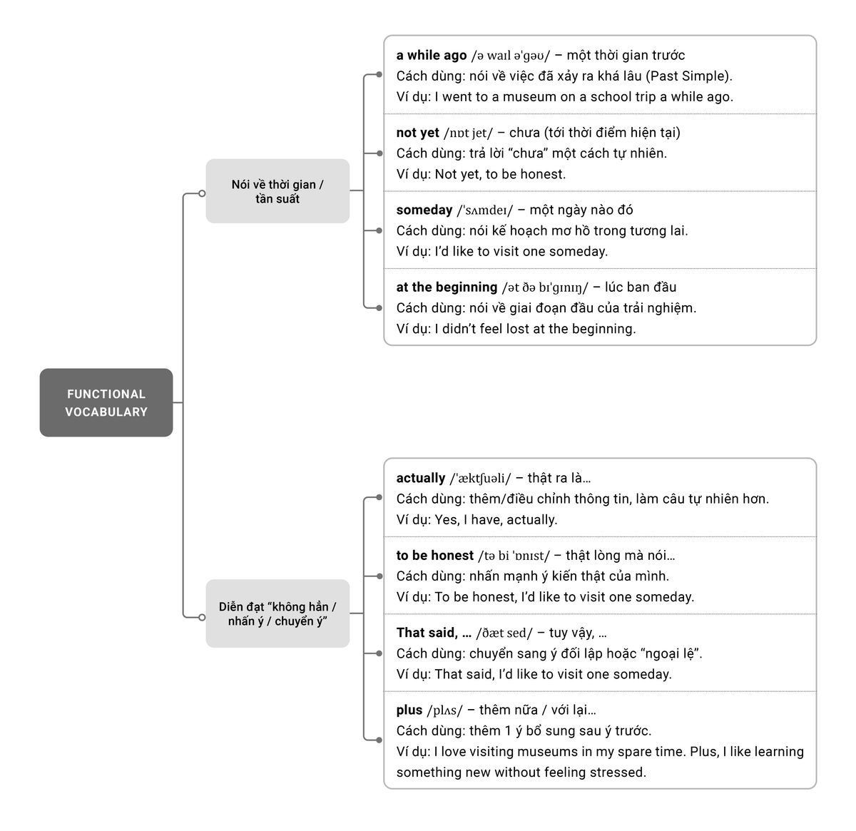 Phân tích từ vựng ielts speaking part 1 topic museums