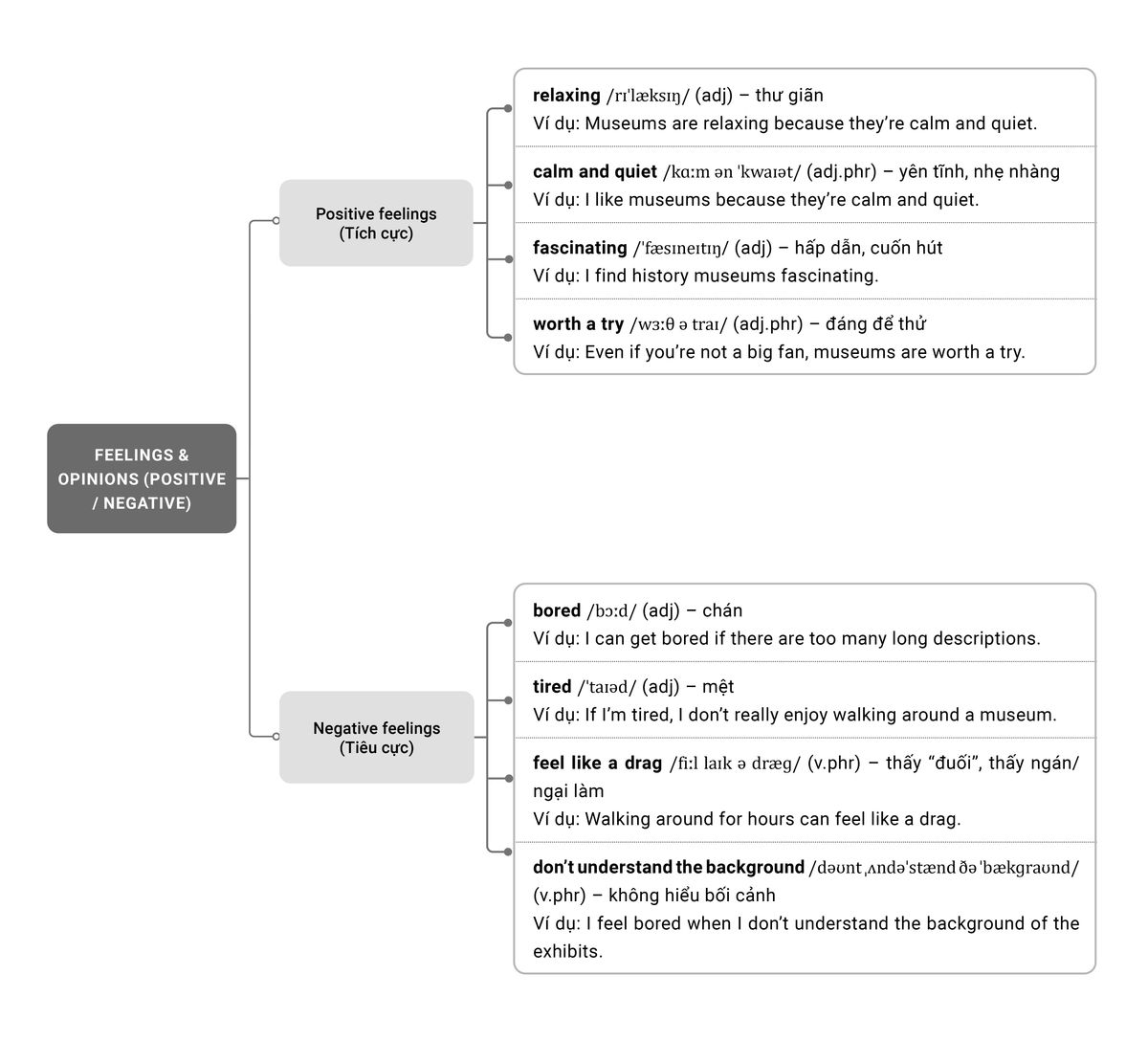 Phân tích từ vựng ielts speaking part 1 topic museums