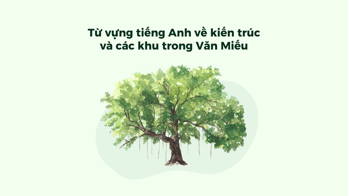 Từ vựng tiếng Anh về kiến trúc và các khu trong Văn Miếu
