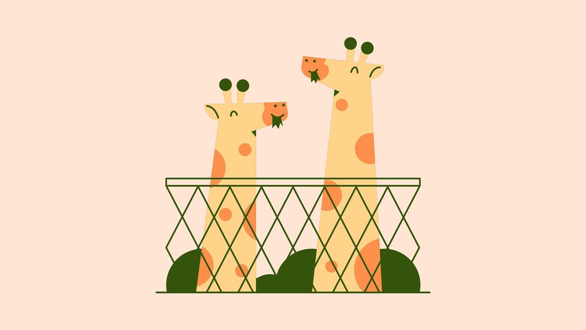 what_are_these_animals_3 what_are_these_animals_3