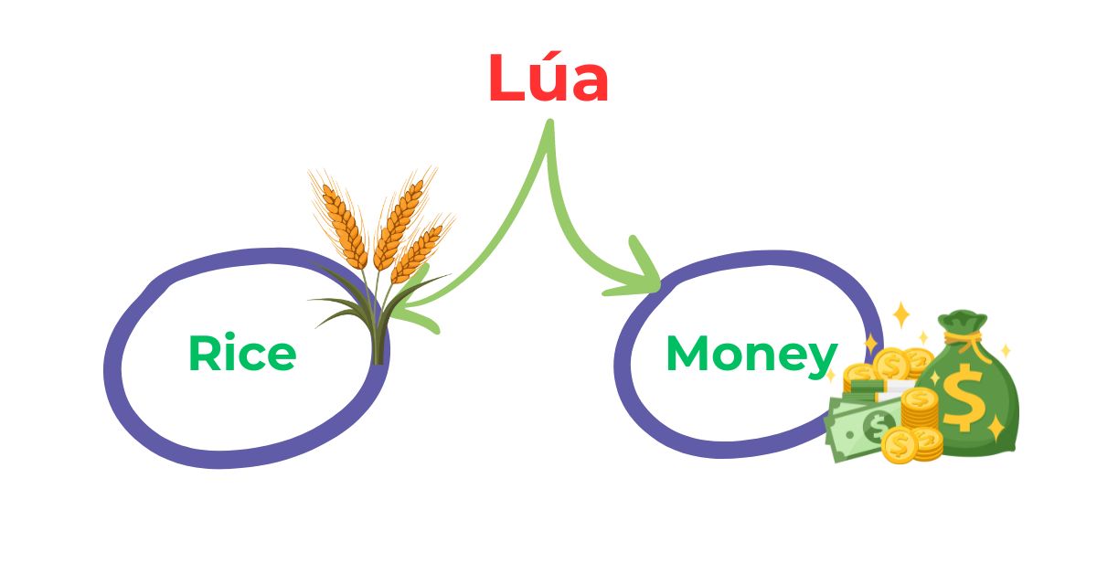 Lúa Lúa